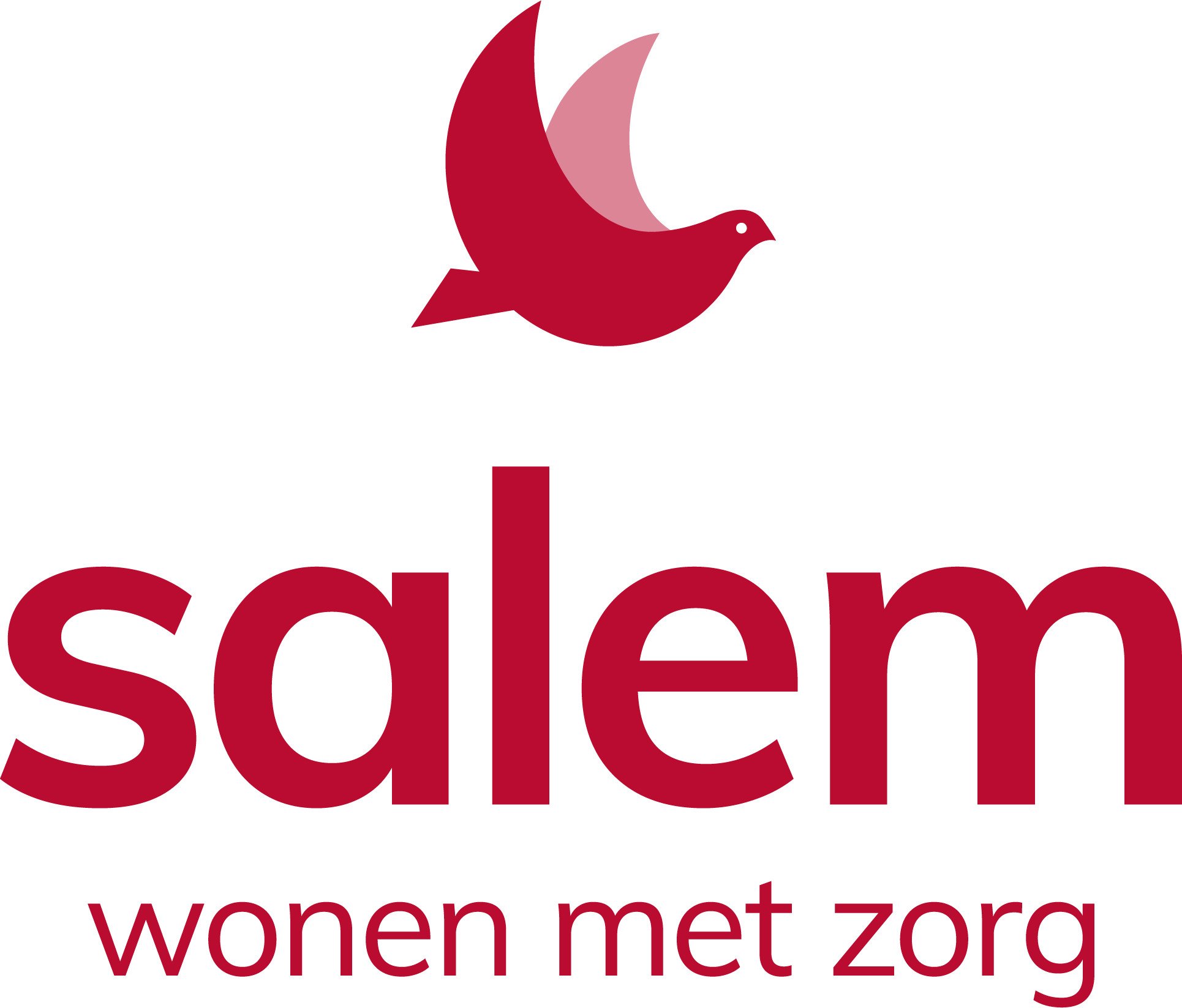 NIEUW-Logo_Salem_RGB_2018.jpg