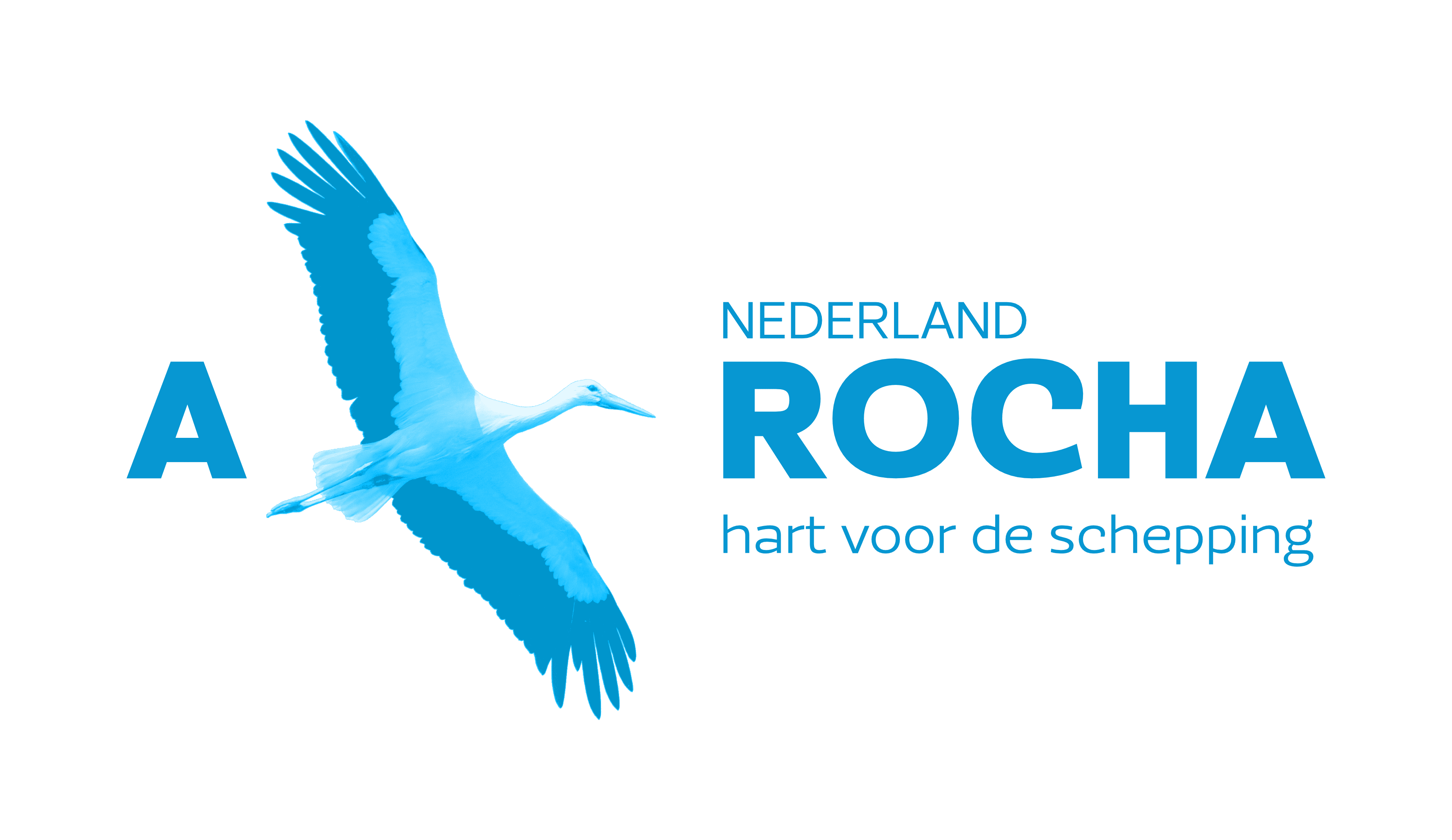 NL-stork-logo-blue.png