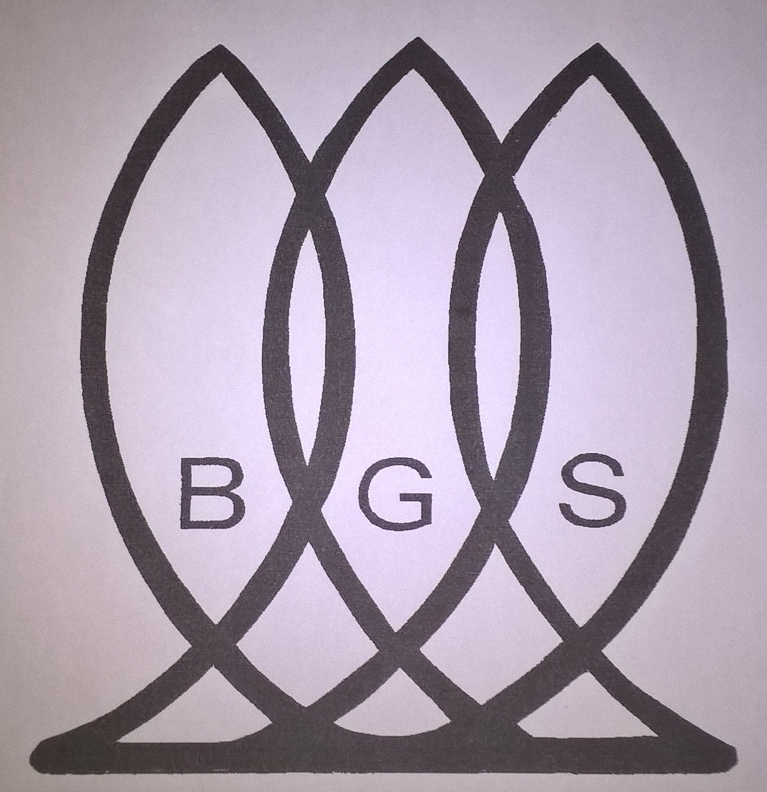 BGS-LOGO.jpg