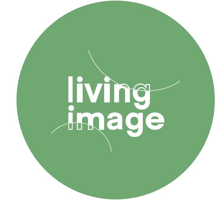 Logo LI rond groen.png