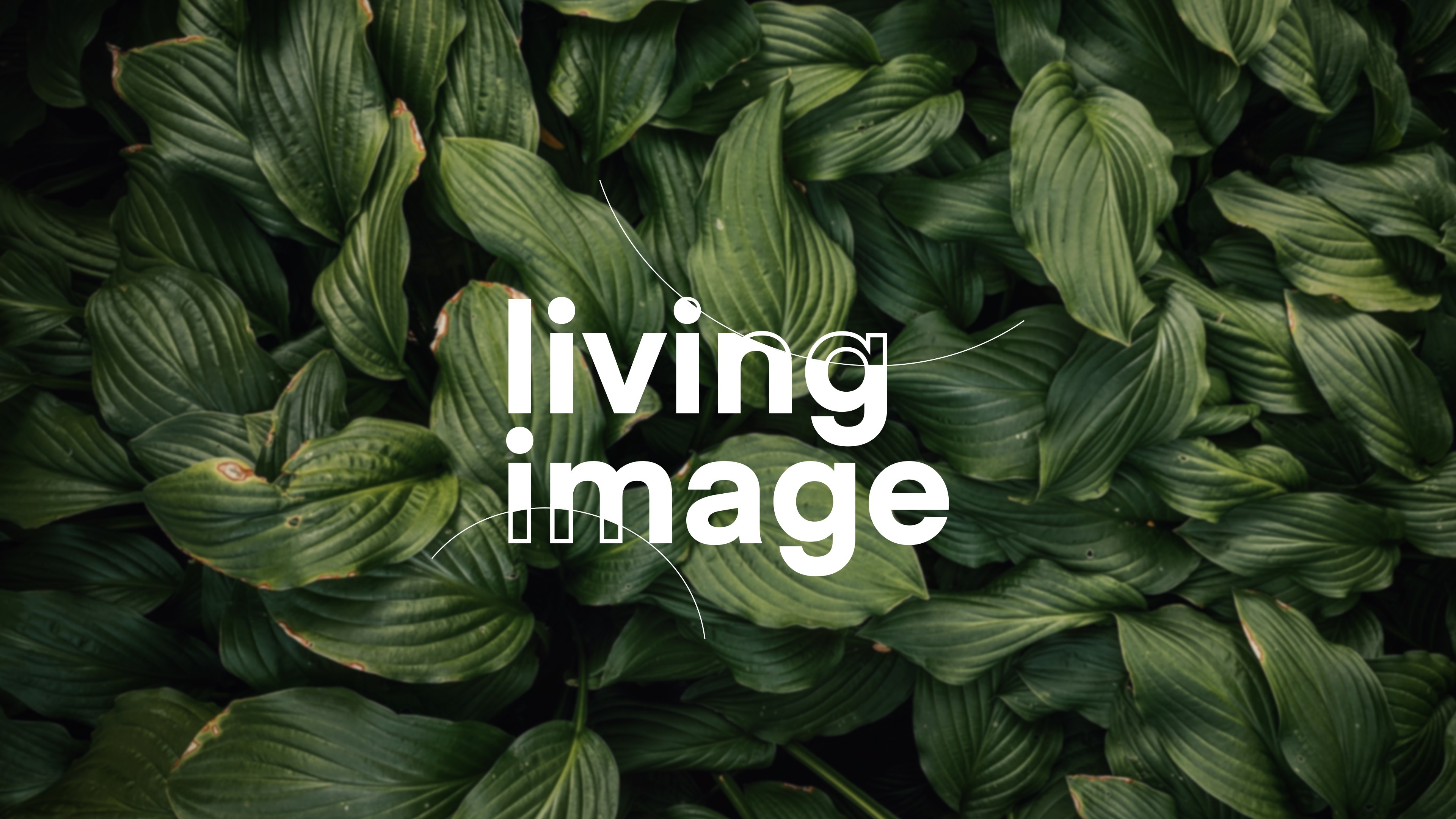 Living Image afbeelding 8.jpg