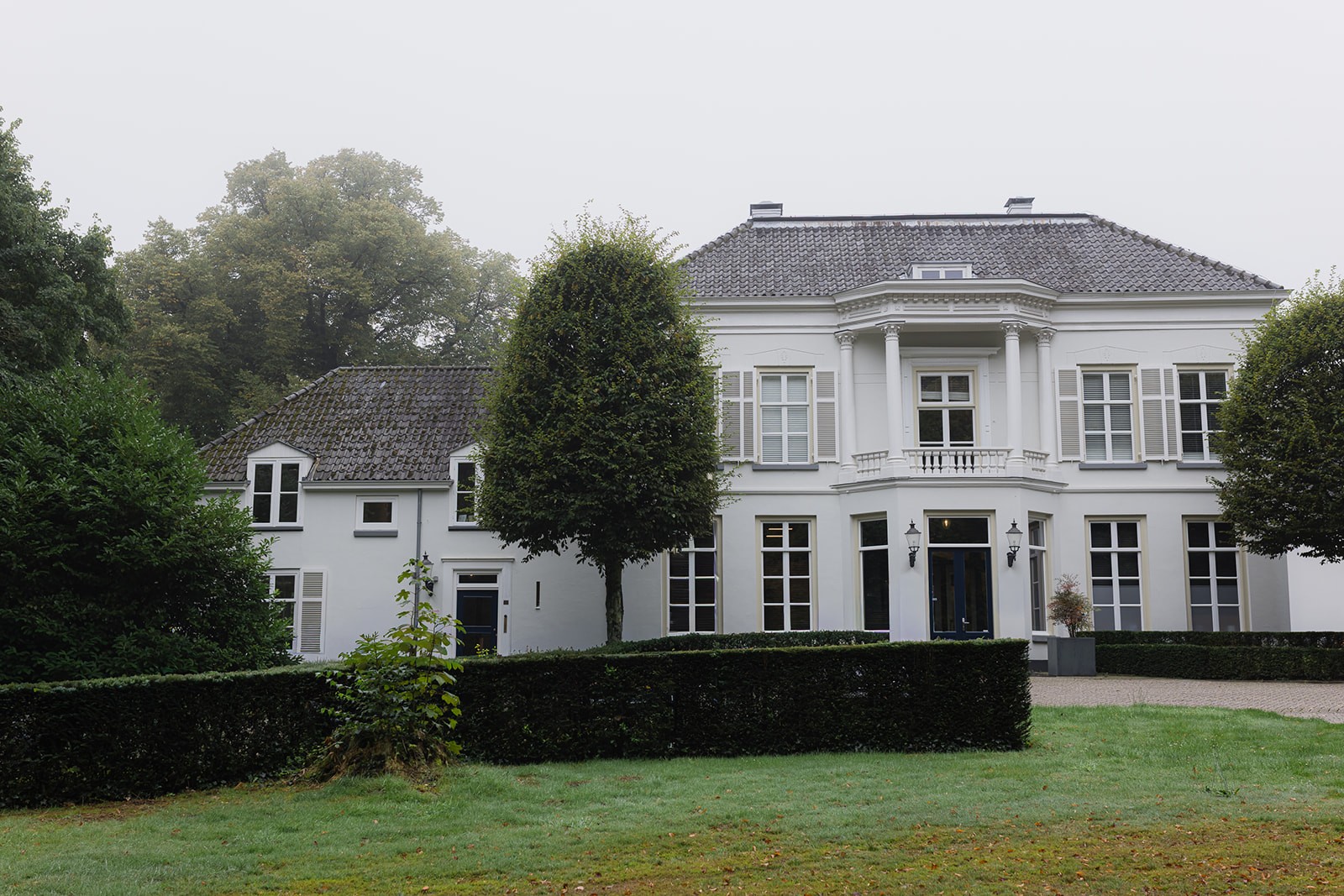 Redwoods People Services-1_websize.jpg